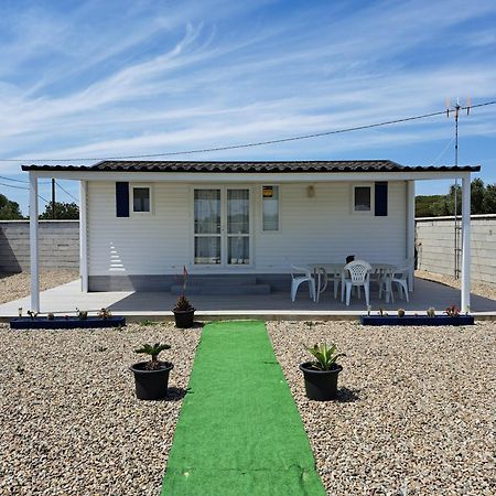 Apartamento El Ronco. Conil De La Frontera Zewnętrze zdjęcie